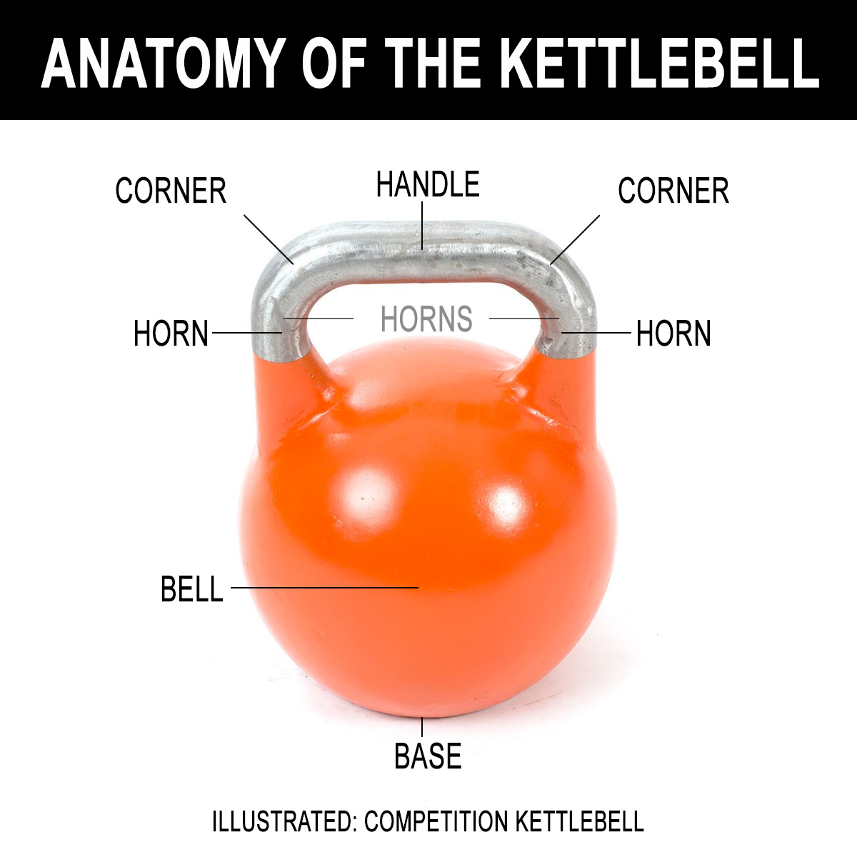 Anatomy of the kettlebell — handle, horns, window, bell, base